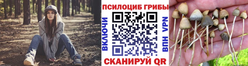 Псилоцибиновые грибы MAGIC MUSHROOMS  дарнет шоп  Калтан 